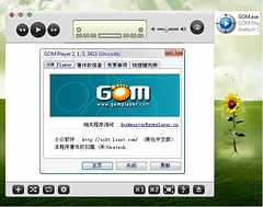GOM Player V2.1.3.3413 绿色中文美化正式版 24
