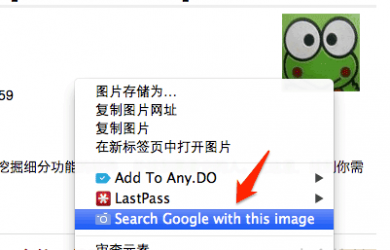 Search by Image - 快速以图找图[Chrome] 1