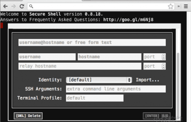 Secure Shell - Chrome 里的独立 SSH 客户端 9