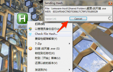 VT Hash Check - 无需上传文件在线检测病毒 39