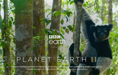 BBC 放出长达 50 小时的高清《地球脉动2》无解说舒缓背景声音版 8