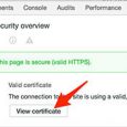 如何在 Chrome 地址栏快速显示 HTTPS 证书信息 4