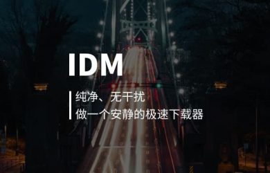 最受全球用户欢迎的下载工具 IDM[Windows] 9