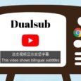 Dualsub - 让 YouTube 同时显示两种语言字幕[Chrome/Firefox] 3