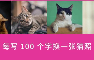Written Kitten - 每输入100字，展示一张可爱的猫咪图片 1