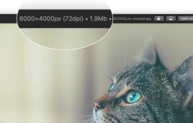 qlImageSize - 在 macOS 预览图片时显示图片尺寸大小 1