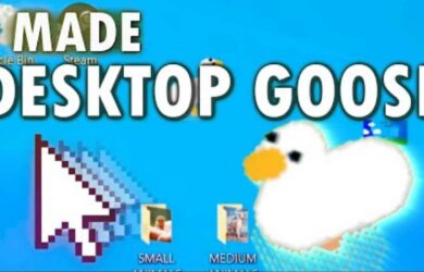 Desktop Goose - 给你的电脑加上一直会捣乱的鹅，作为桌面宠物[Win/macOS] 11