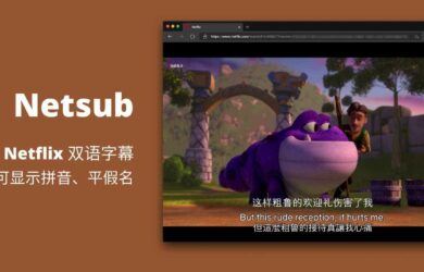 Netsub - 为 Netflix 显示双语字幕，并可显示拼音、平假名用来学习中文、日语[Chrome/Edge] 4