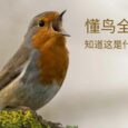 懂鸟全球 - 智能识别 10928 种鸟类名称[微信小程序/Web] 7
