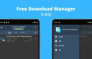 支持 BT 下载的 Free Download Manager 安卓版 17