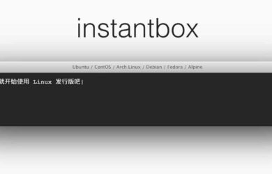 instantbox - 几秒内启动一个干净的 Linux 系统 9