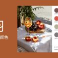 彩羽 - 从图片中吸取颜色，创建色卡、配色方案以及颜色库[Android] 4