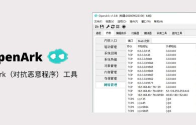 OpenArk - 开源 Ark（对抗恶意程序）工具 4