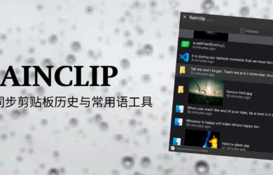 Rainclip - 一个简单的可同步剪贴板历史与常用语工具[Win/macOS] 17
