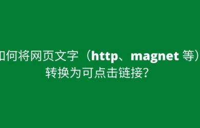 如何将带有 magnet: 的磁力链接文本转换为可点击链接？ 19