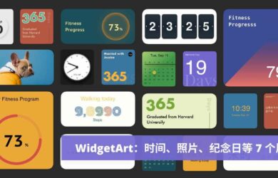 WidgetArt - 时间、照片、纪念日、步数等 7 个漂亮的屏幕小组件[iOS] 16