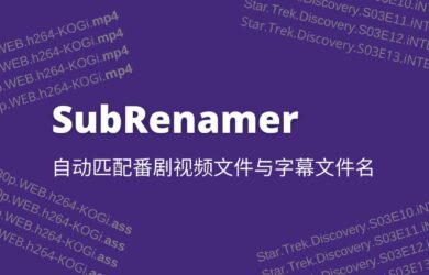 SubRenamer - 字幕批量重命名，自动匹配视频文件与字幕文件[Windows] 2