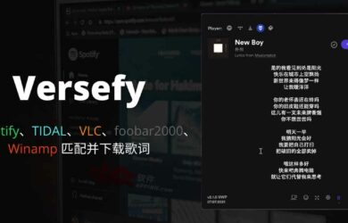 Versefy - 为 Spotify、TIDAL、VLC、foobar2000、Winamp 匹配并下载歌词[Windows] 2