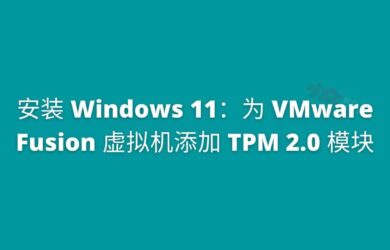 为 VMware Fusion 虚拟机添加 TPM 2.0 模块，安装 Windows 11 9