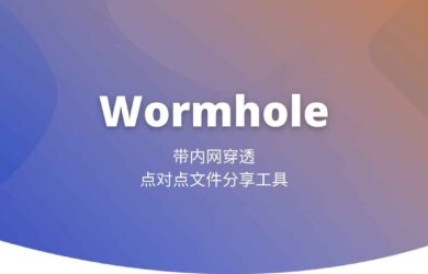 Wormhole - 带内网穿透的点对点文件分享工具[Windows] 1