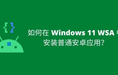 如何在 Windows 11 WSA 中安装安卓应用？ 15