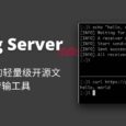 Piping Server - 支持 curl 的轻量级开源文件传输工具 14