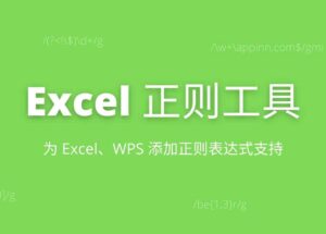 Excel正则工具 - 为 Excel、WPS 添加正则表达式支持[Windows] 13