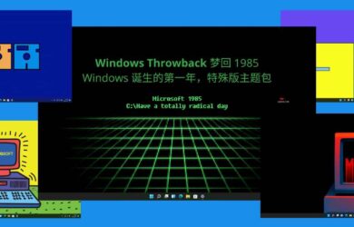 Windows Throwback - 梦回 1985，Windows 诞生的第一年，特殊版主题包 7