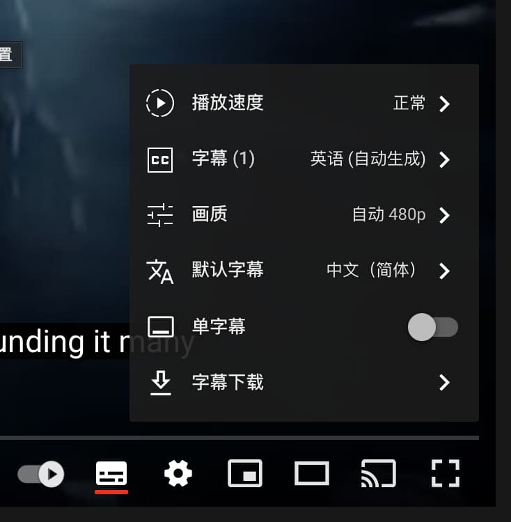 YouTube™ 双字幕 - 显示双语字幕（包括自动翻译）、字幕下载，以及自定义字幕样式[Chrome/Edge] 1