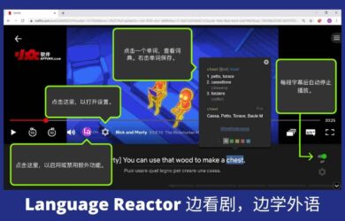 Language Reactor - 轻松学：边看剧，边学外语[Chrome] 6