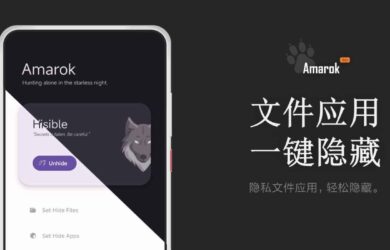 Amarok - 一键隐藏安卓手机隐私文件和应用[Android] 4