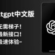 ChatGPT中文版，超强接口，无需梯子，极速体验！（安卓+电脑） 2