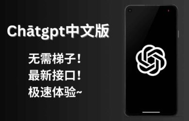 ChatGPT中文版，无需梯子！最新接口！极速体验~ 10