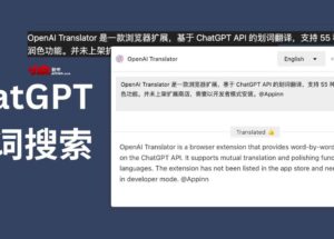 OpenAI Translator - 基于 ChatGPT API 的划词翻译，55 种语言互译[Chrome] 9