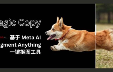 Magic Copy - 在 Chrome/Firefox 中一键抠图，基于 Meta AI 的 Segment Anything 模型 1