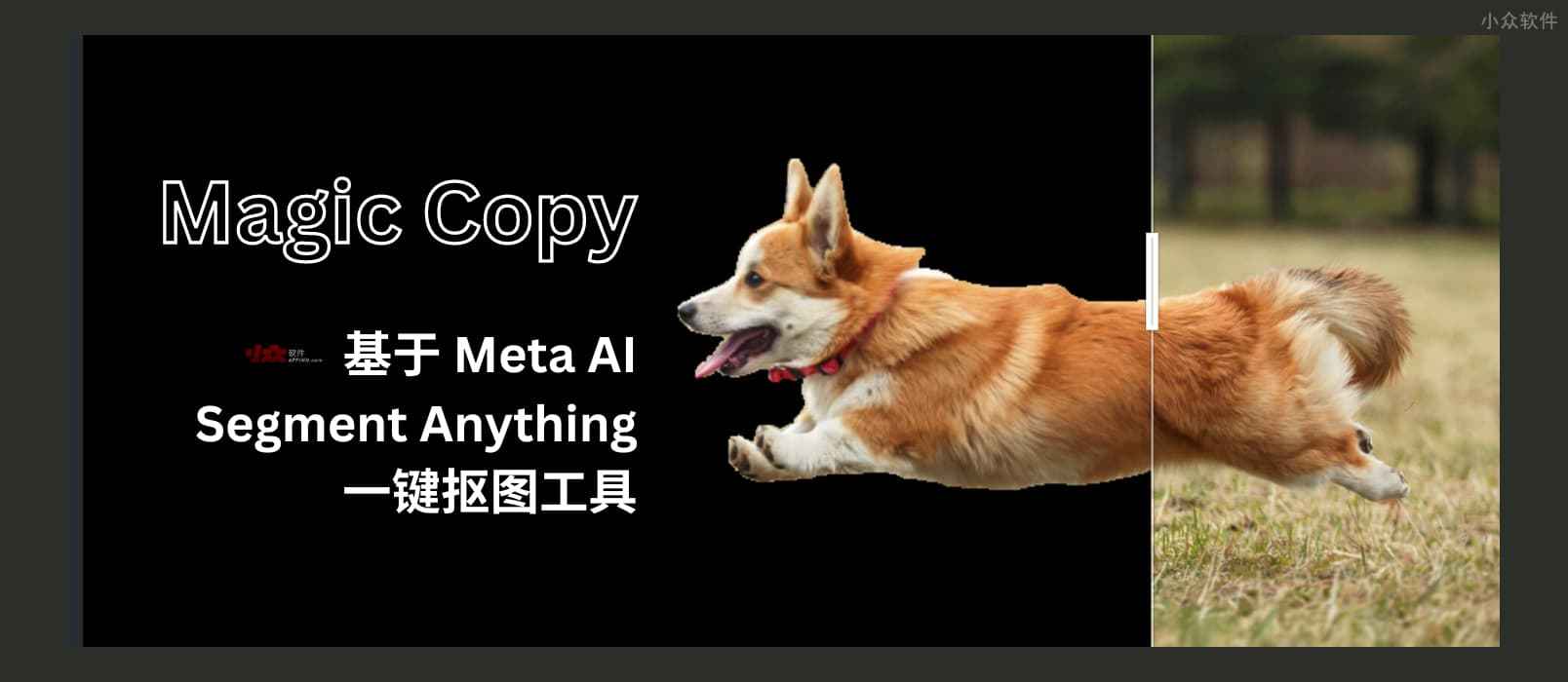 Magic Copy 在 Chrome/Firefox 中一键抠图，基于 Meta AI 的 Segment Anything 模型 小众软件