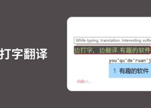实时打字翻译 - 边打字边翻译，直接输入，支持发音[Windows] 30