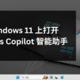 在 Windows 11 上打开 Windows Copilot 智能助手 7