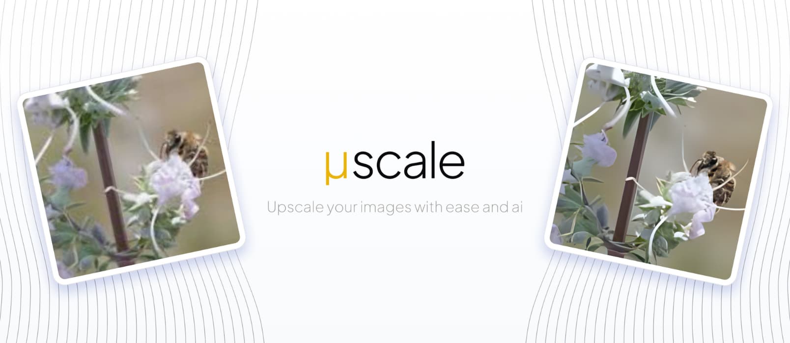 μScale - 利用 AI 算法，将图像放大 4 倍