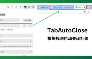 TabAutoClose - 根据规则自动关闭标签也[Chrome] 17