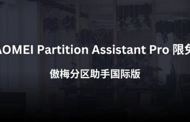 AOMEI Partition Assistant Pro 限免：傲梅分区助手国际版｜区别不大，可以不领。 5