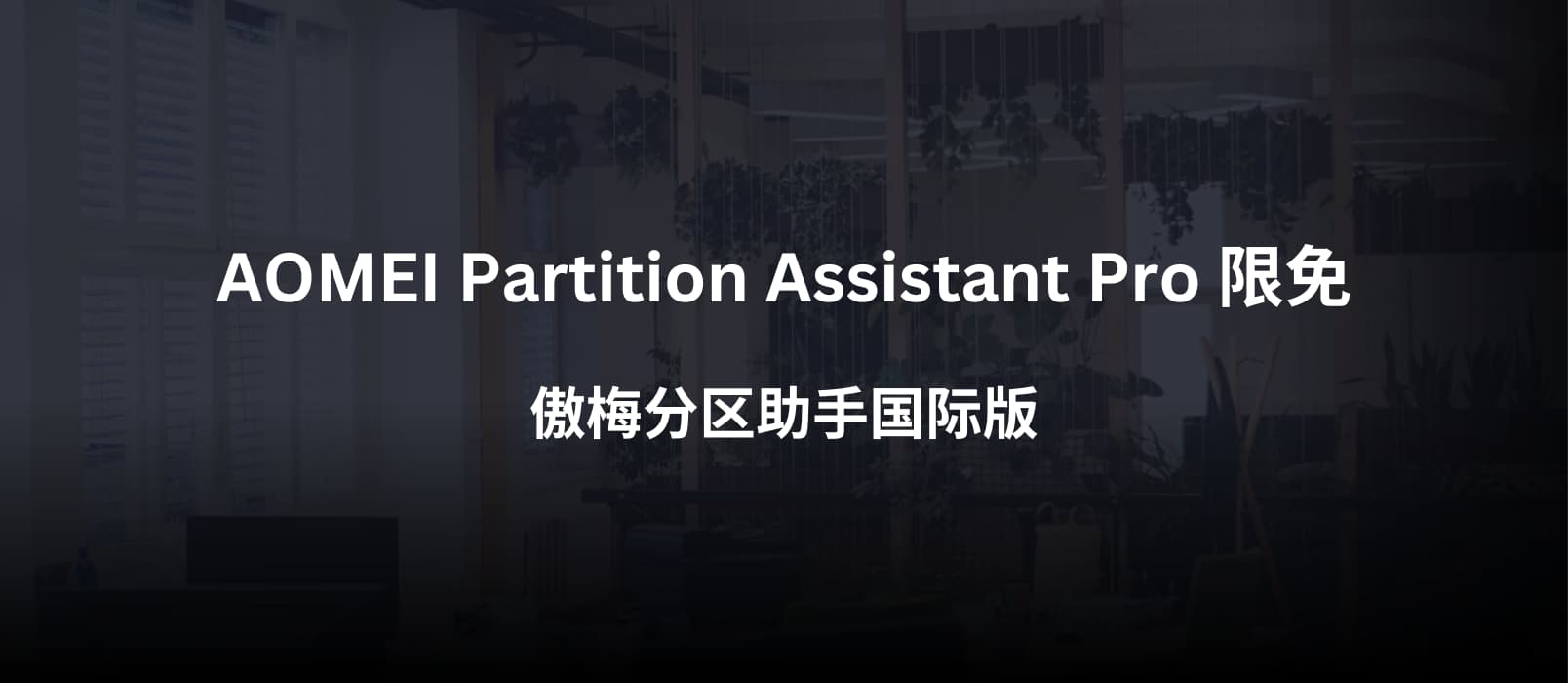 AOMEI Partition Assistant Pro 限免：傲梅分区助手国际版