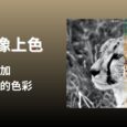 DDColor - 黑白图像上色，为老照片添加生动、自然的色彩 6