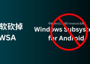 微软：砍掉 WSA，那个可以在 Windows 11 上运行 Android 应用的子系统 6