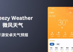 Breezy Weather - 开源安卓天气预报应用，精确至1小时预报，最长15天 29