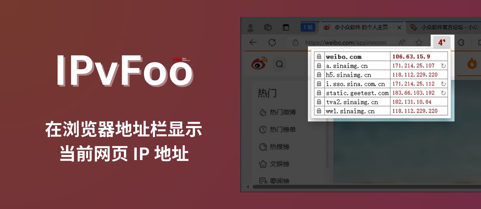  IPvFoo - Display the current web page IP address in the browser address bar [Chrome/Firefox]