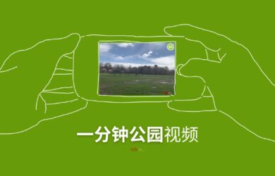 一分钟公园 - 每个公园一分钟视频，仅此而已[在云里的真实世界] 3