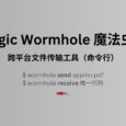 Magic Wormhole 魔法虫洞 - 安全地将文件从一台计算机转移到另一台计算机 16