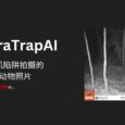CameraTrapAI - 识别相机陷阱拍摄的野生动物照片的 AI 模型 3