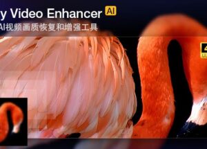 拯救渣画质视频！Aiarty Video Enhancer实测推荐，附注册码 8